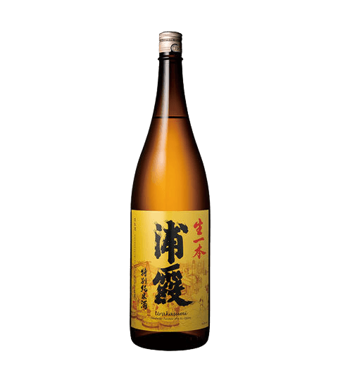 Kanoizumi Tokubetsu Junmai Nama Chozoshu