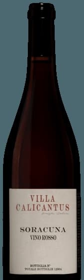 Soracuna Rosso