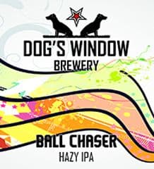 Ball Chaser