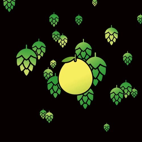 Hop Lanterns Yuzu (酒花飛高高 香橙)