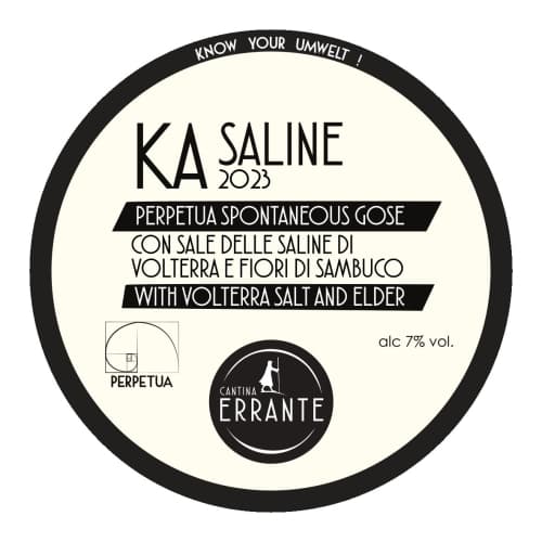 Ka Saline 2023