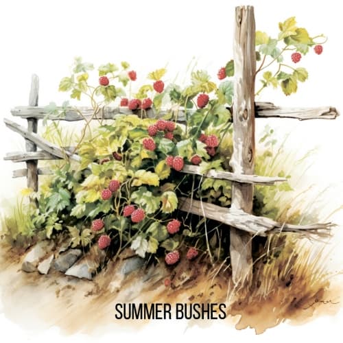 Summer Bushes