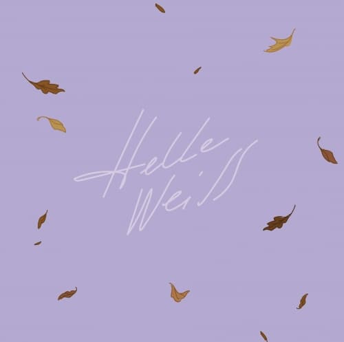 Helle Weiss (Autumn Batch)