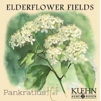 Elderflower Fields
