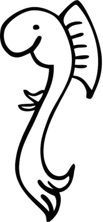 Gooische Haring