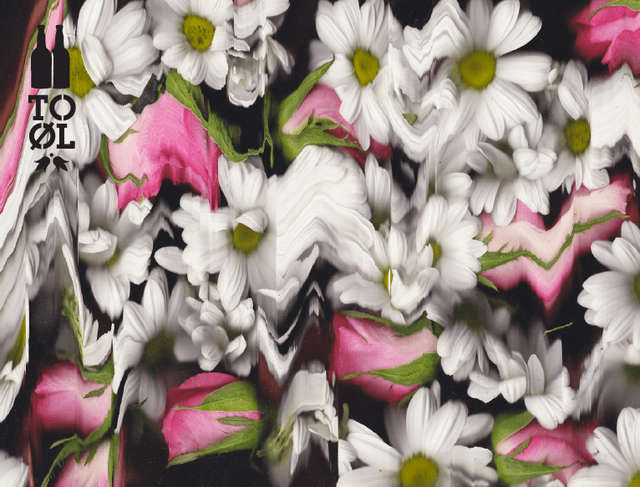 Blossom