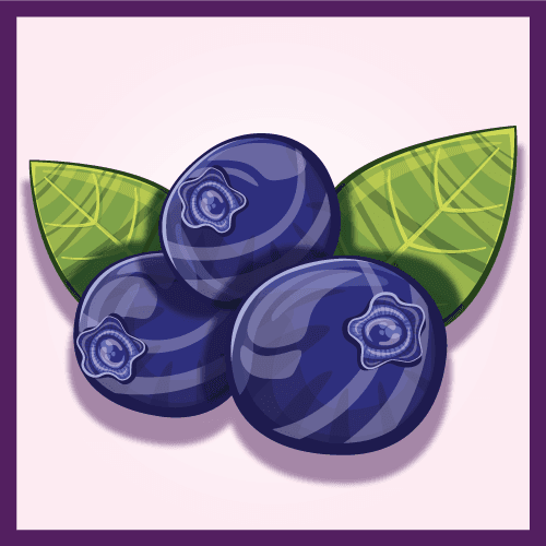 Fruit Expo: Blueberry Sour
