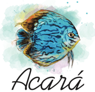 Acará
