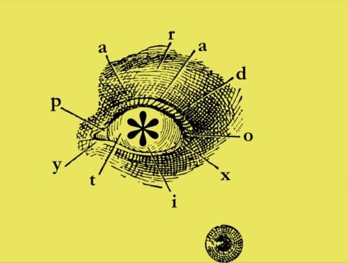 PARADOXITY*