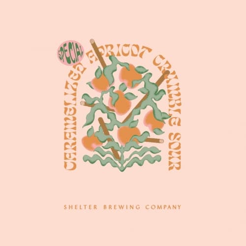Carmelized Apricot Crumble Sour
