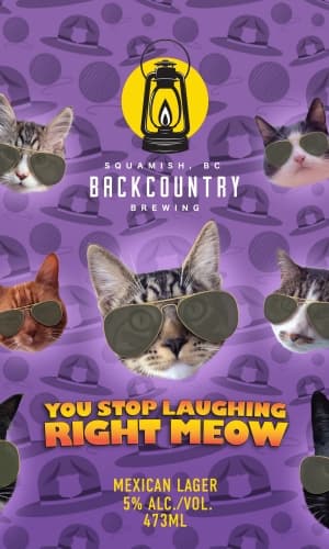 You Stop Laughing Right Meow