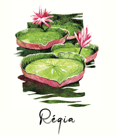 Régia