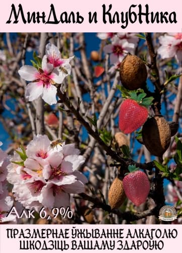 MinDal` I KlubNika (МинДаль и КлубНика)