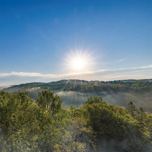 Saison Du Rayonnement
