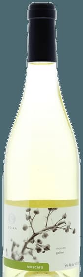 Golan Moscato