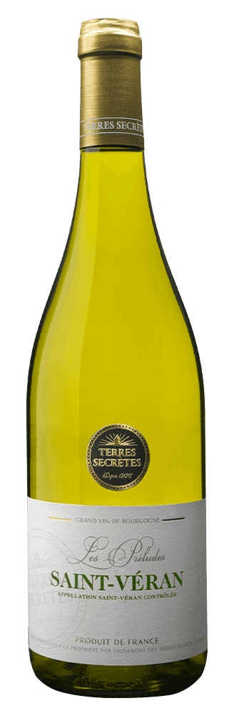 Terres Secretes Les Preludes Saint Veran