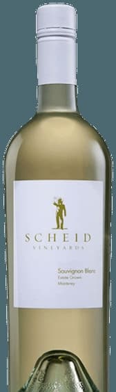Sauvignon Blanc