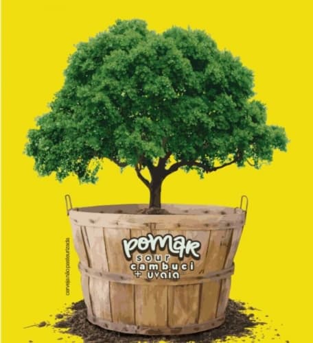 Pomar Cambuci E Uvaia