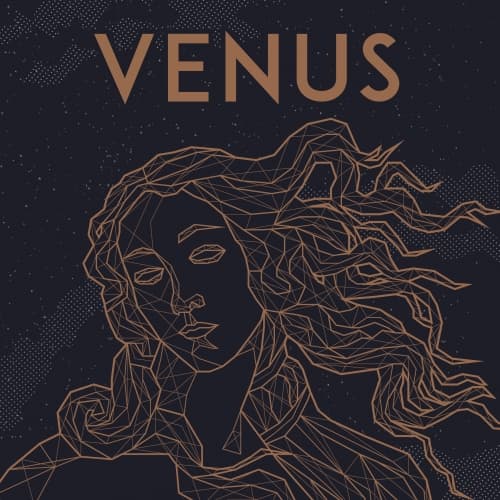 Venus | Brodie’s Salted Caramel Chocolate Pretzel