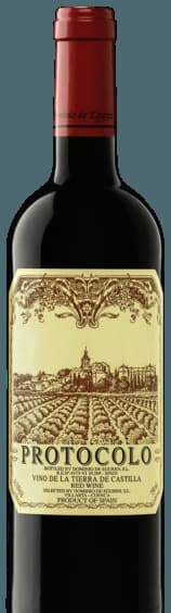 Protocolo Tinto