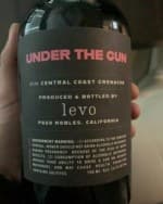 Under The Gun