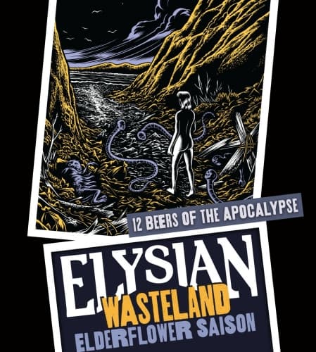 Wasteland Elderflower Saison