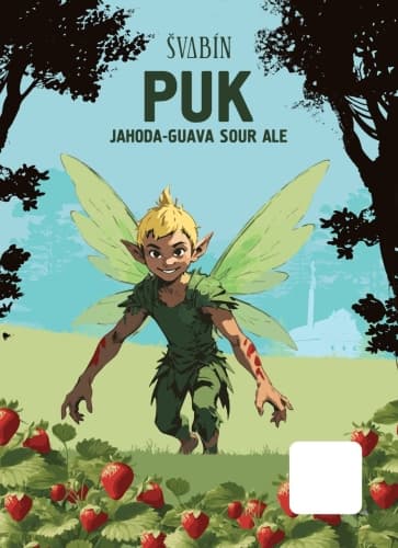 PUK Sour Ale