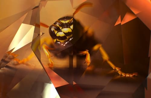 Trapped In Time