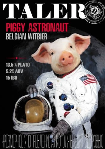 Piggy Astronaut