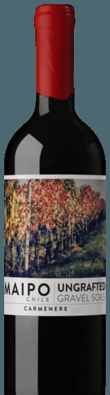 Ungrafted Grave Soils Carménère