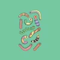 Worms