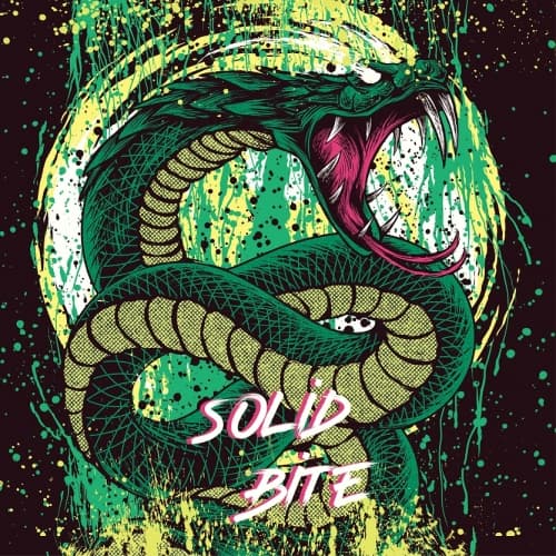 Solid Bite
