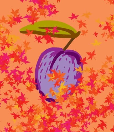 Plumpkin Spice