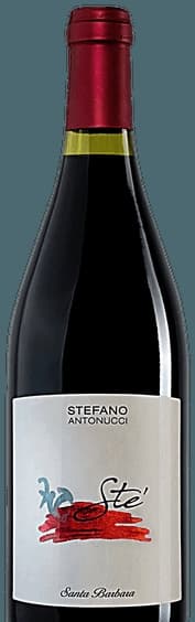 Sté Rosso Piceno