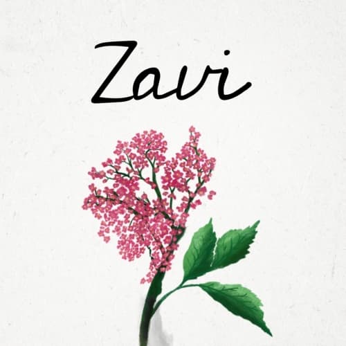 Zavi