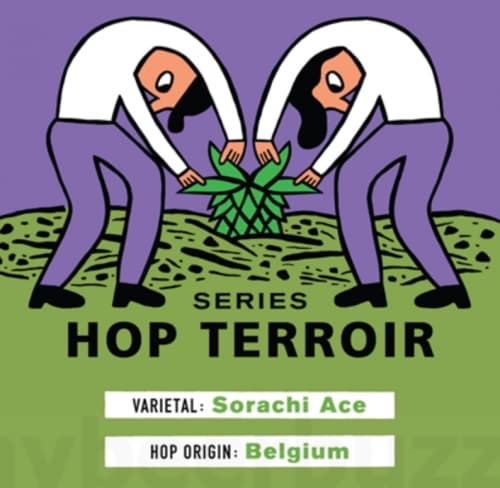 Hop Terroir Series: Sorachi Ace Belgium