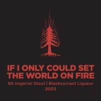 IF I ONLY COULD SET THE WORLD ON FIRE 2023