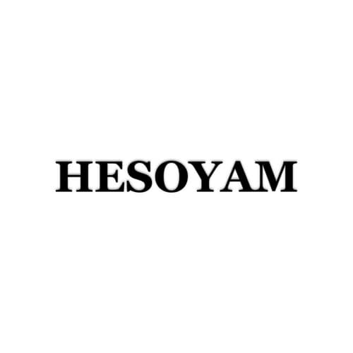 HESOYAM