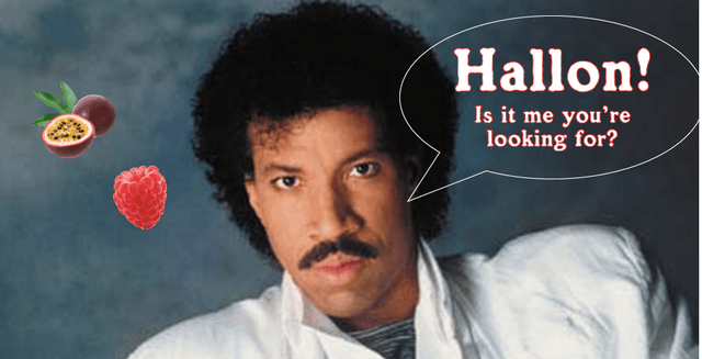 Hallon, Is It Me You're Looking For?