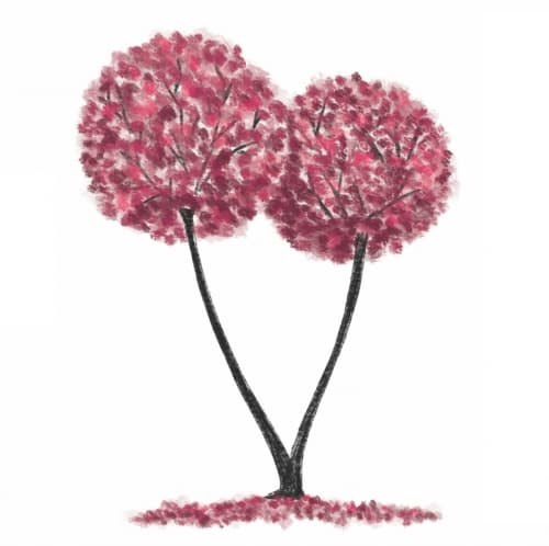 Sakura Tree