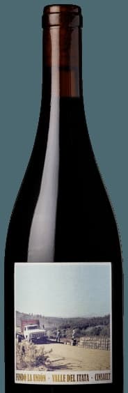 Fundo La Unión Cinsault