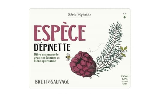 ESPÈCE D’ÉPINETTE V2