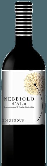 Nebbiolo d'Alba