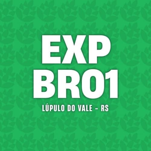 EXPBR01