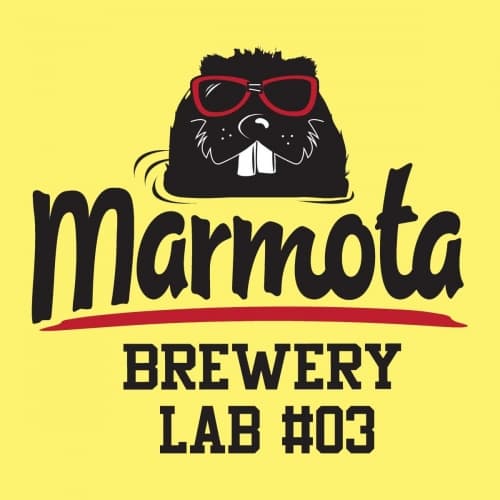 Marmota Lab#03