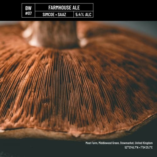 BW#07 - Farmhouse Ale