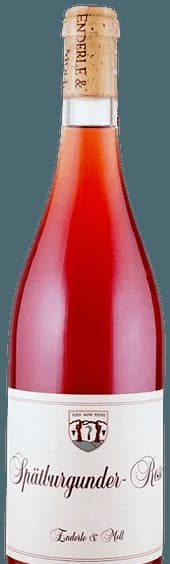 Spätburgunder Rosé