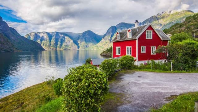 Bjørnebær