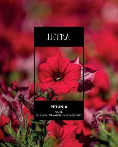 PETUNIA