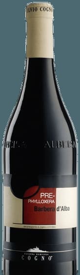 Barbera d'Alba Pre-Phylloxera